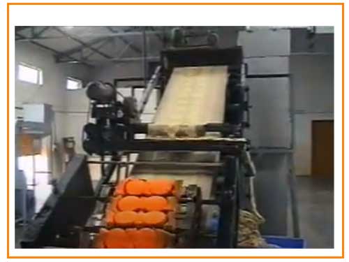 Automatic Papad Making Machine Manufacturers in India
